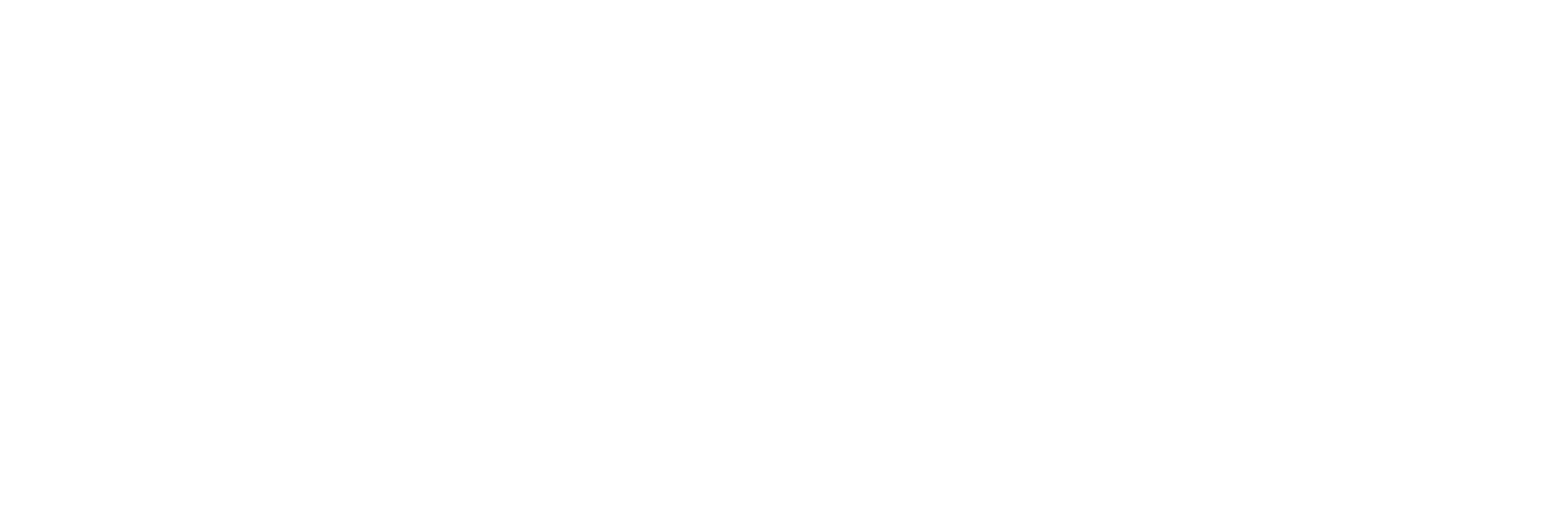 AOPA Logo