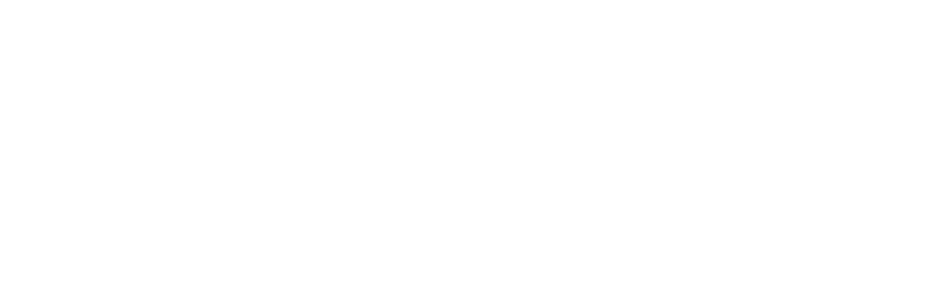 Pix4D Logo