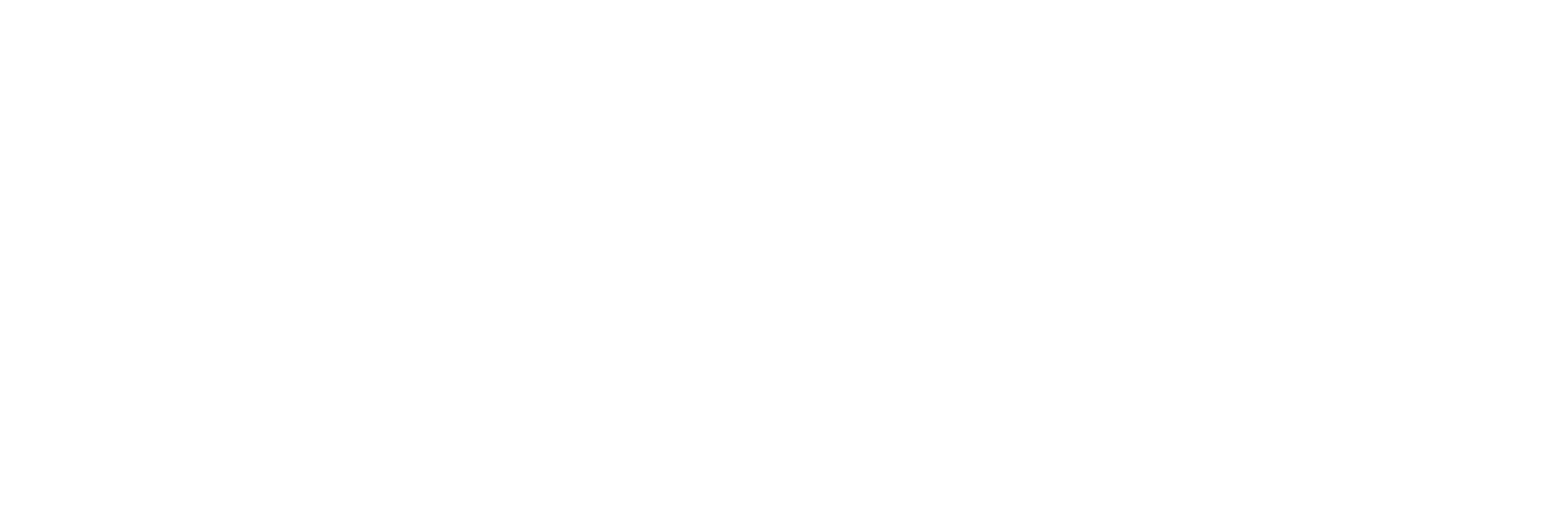 WIRED Logo