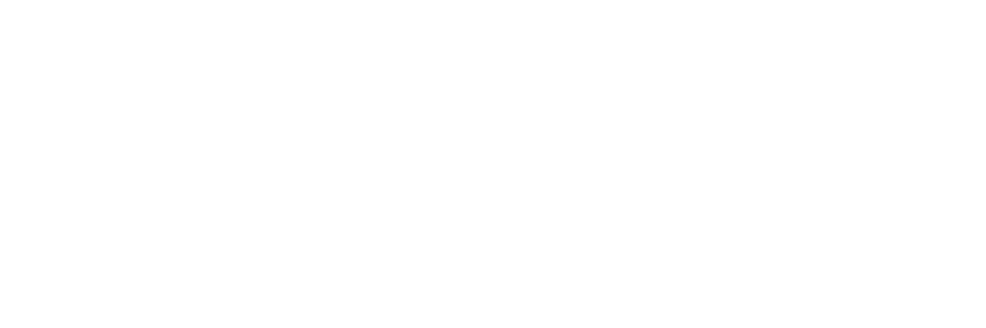 The Seattle Times Logo