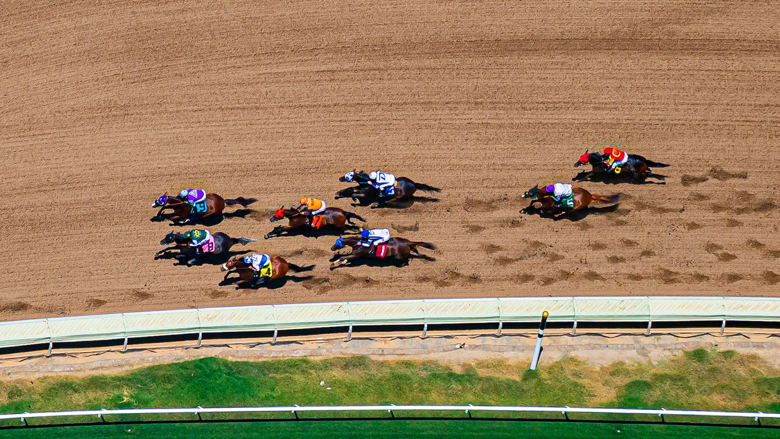 Sports photo of race horses rounding the final bend at the 2016 Opening Day at Del Mar racetrack in San Diego, California