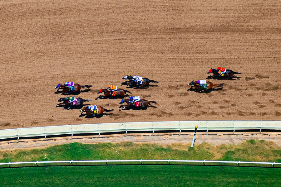 Sports photo of race horses rounding the final bend at the 2016 Opening Day at Del Mar racetrack in San Diego, California