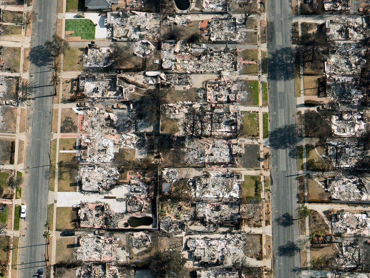 A top-down view of Altadena shows two parallel streets dividing the frame, with the ashen remains of destroyed houses on either side, illustrating the extent of the Eaton Fire's damage.