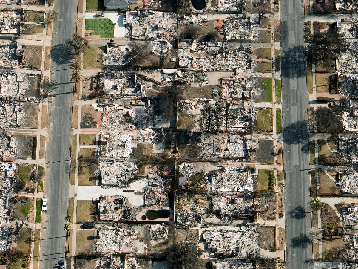 A top-down view of Altadena shows two parallel streets dividing the frame, with the ashen remains of destroyed houses on either side, illustrating the extent of the Eaton Fire's damage.