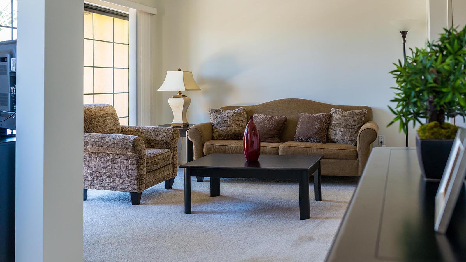 Interior Architectural photo of an apartment living room in Tarzana, California