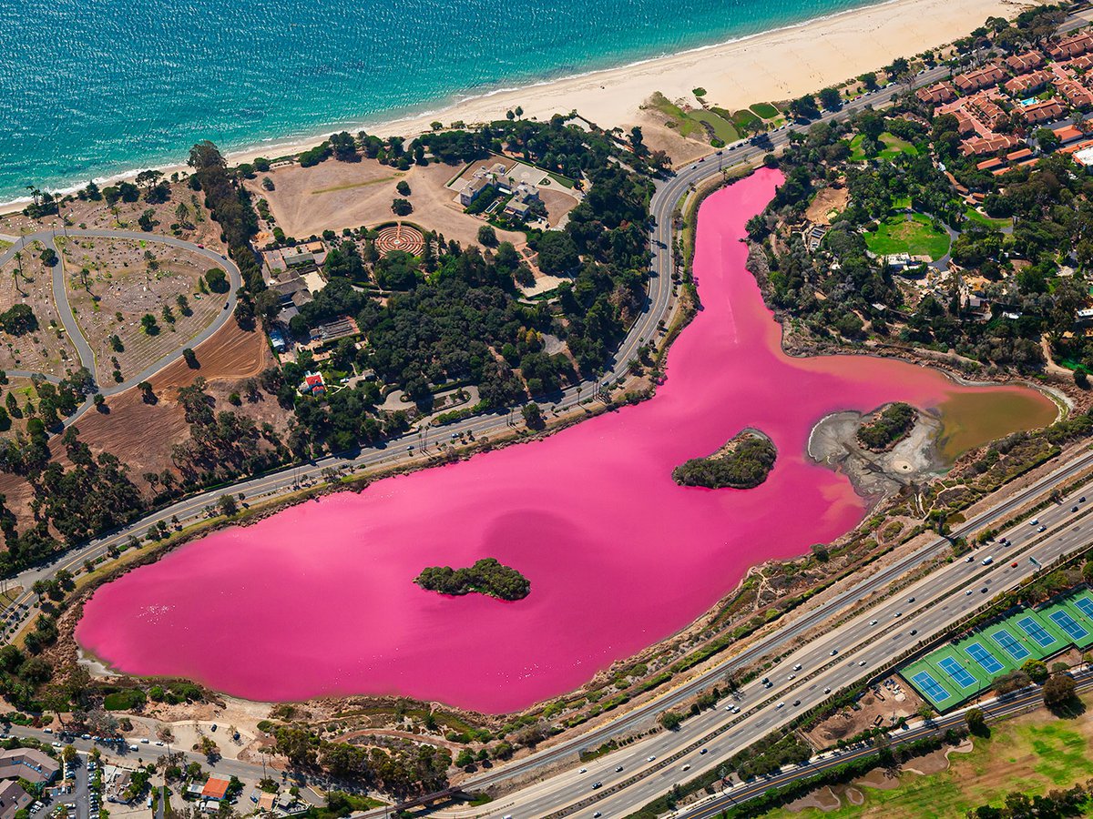 Blog photo of the pink lake at the Andree Clark Bird Refuge in Santa Barbara caused by a red algae bloom