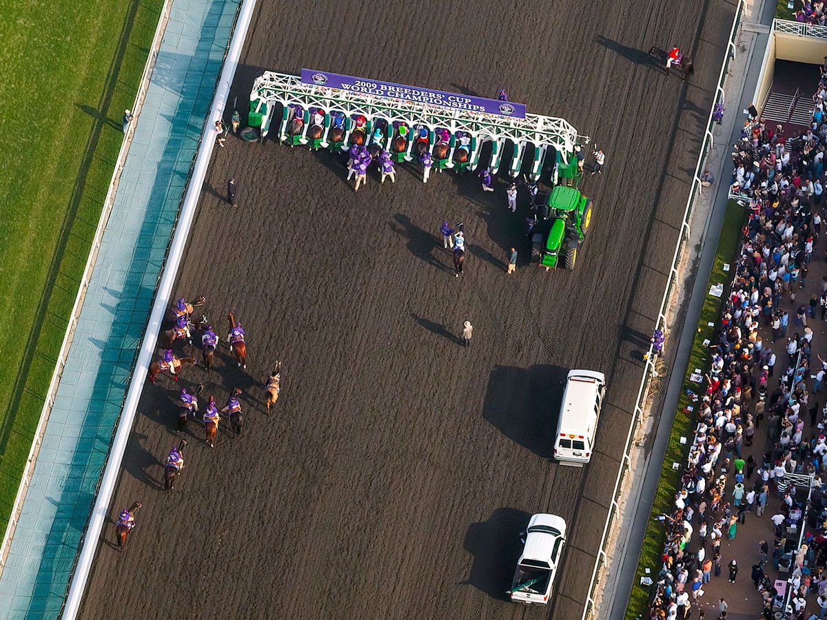 Aerial photograph of race horses in the gates at teh beginning of the 2009 Breeders' Cup Dirt Mile race at Santa Anita Park