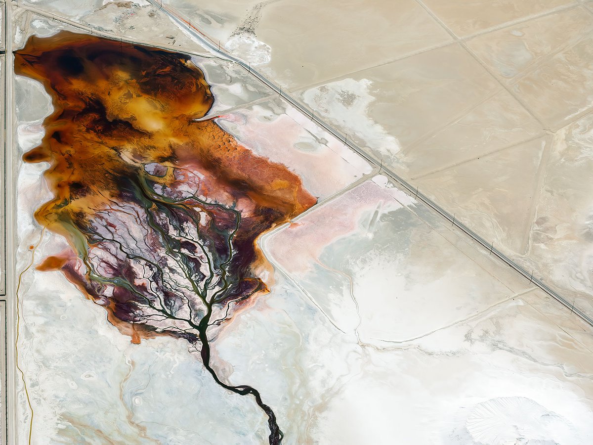 Aerial abstract photograph of a mineral pool in Searles Lake, California that looks like a burning bush