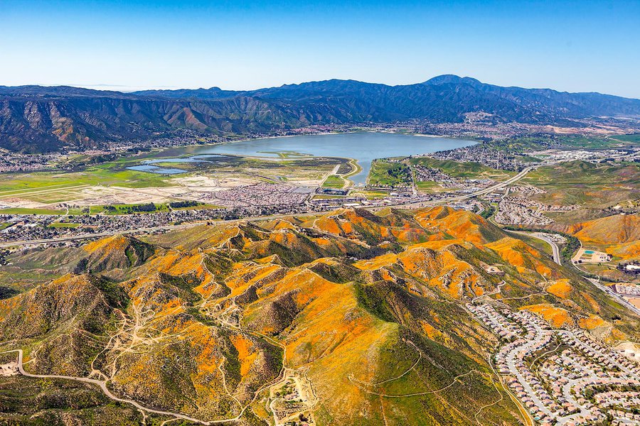Blog photo of the California Wildflowers covering the mountains near Lake Elsinore, California