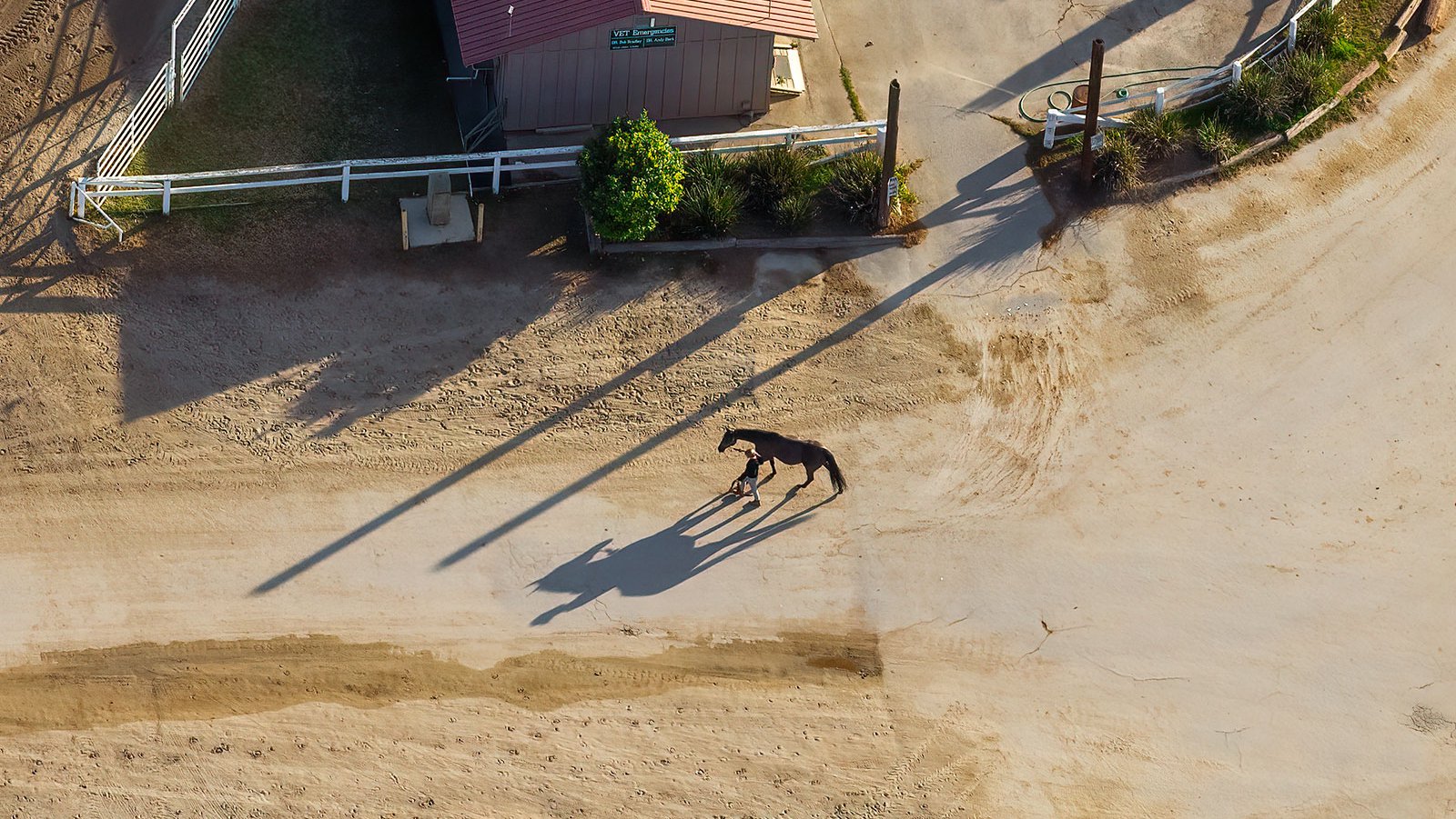 Blog image of a horse and trainer at the Calamigos Equestrian Center in Burbank, California on Christmas Day 2020.