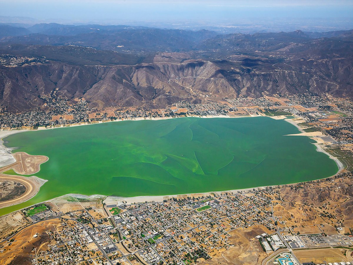Blog image of an algae bloom in Lake Elsinore in California