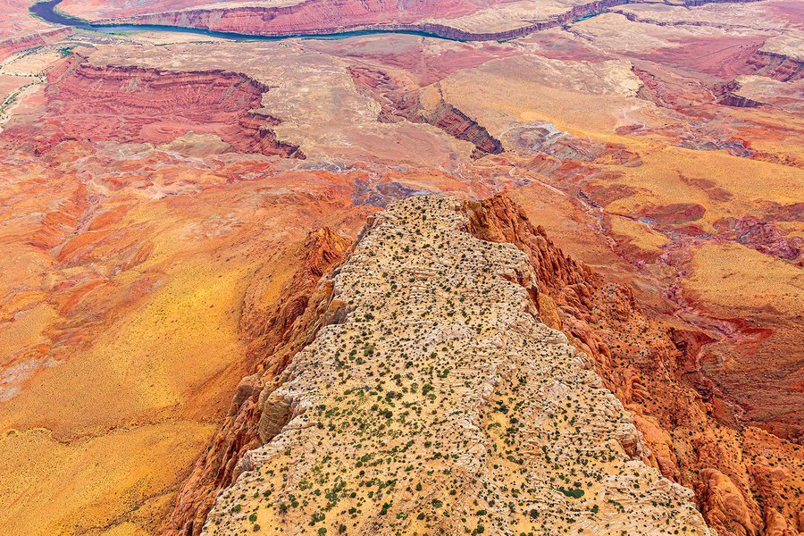 Blog photo of the Grand Canyon National Park abstract photo with yellow and red colors