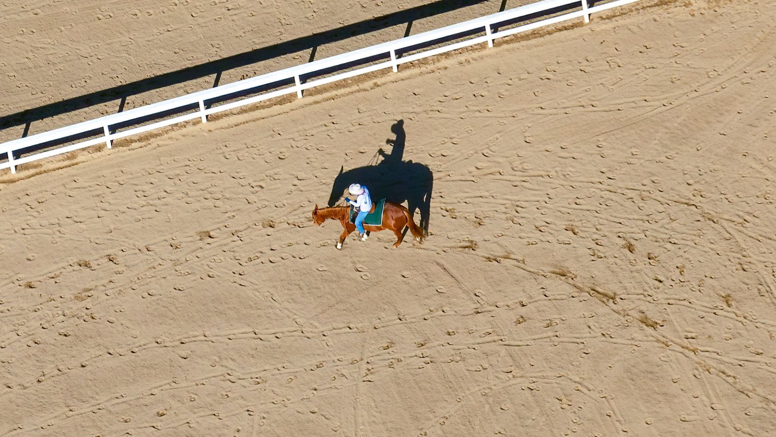 Blog image of a horseback rider on Christmas Day in Los Angeles, California