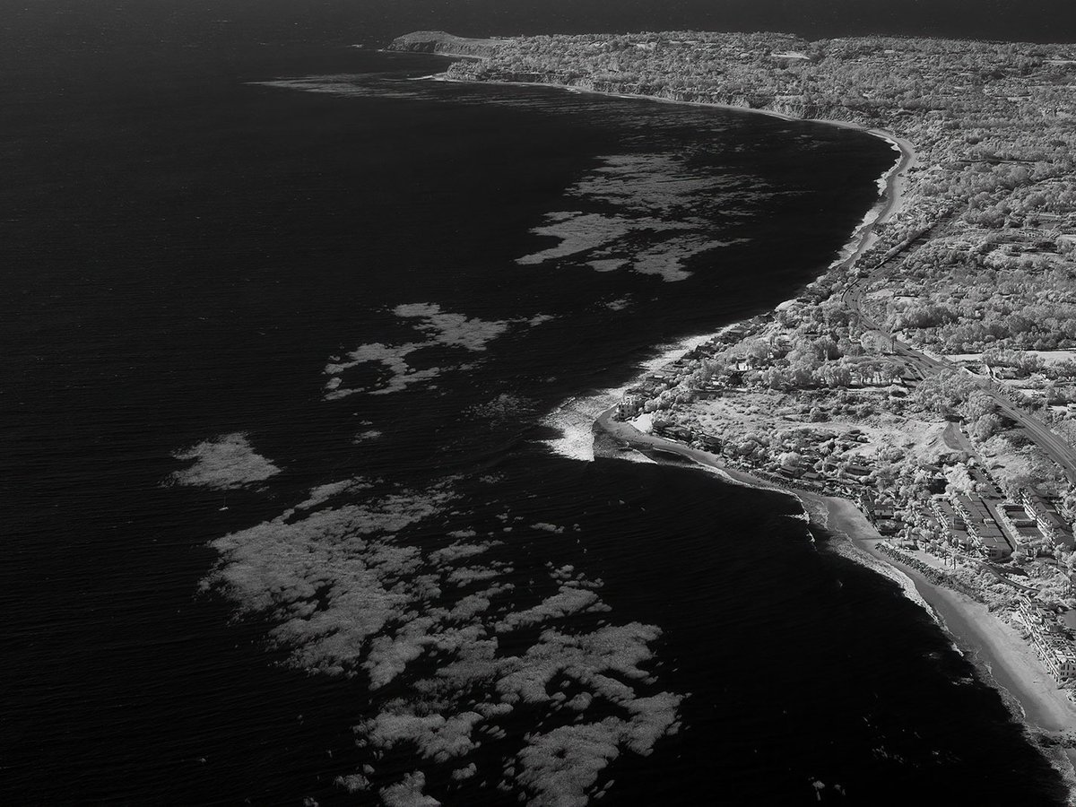 Aerial photo captured in near-infrared (NIR) of the Malibu coastline, with the sea kelp clearly visible in the water offshore