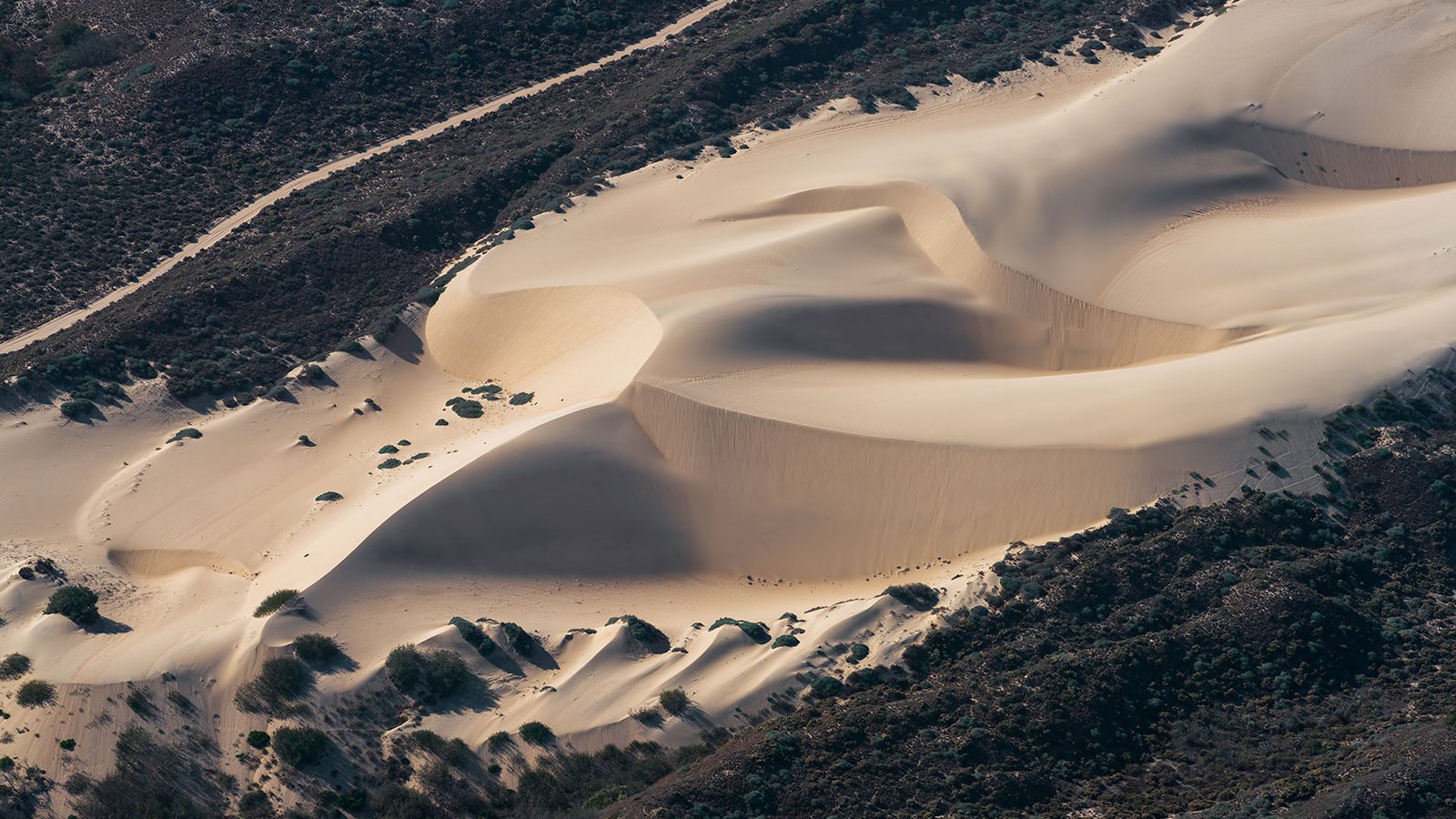 Blog photograph of the nexting areas for endangered birds in the Oceano Dunes Vehicular Recreation Area near Pismo Beach, California