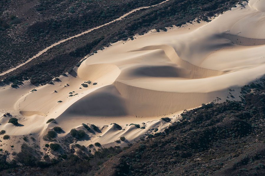 Blog photograph of the nexting areas for endangered birds in the Oceano Dunes Vehicular Recreation Area near Pismo Beach, California