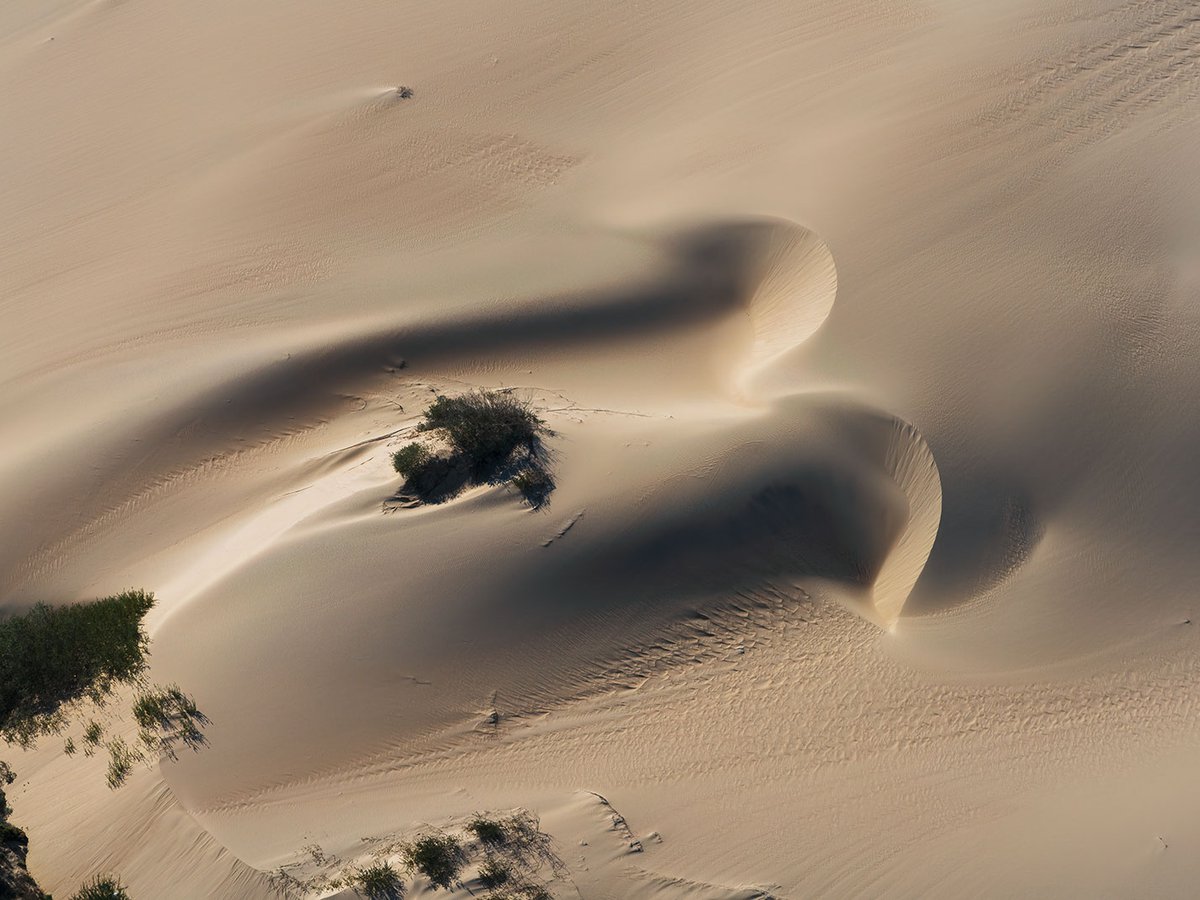 Blog photo of the Oceano Dunes endangered bird nesting areas near Pismo Beach, California