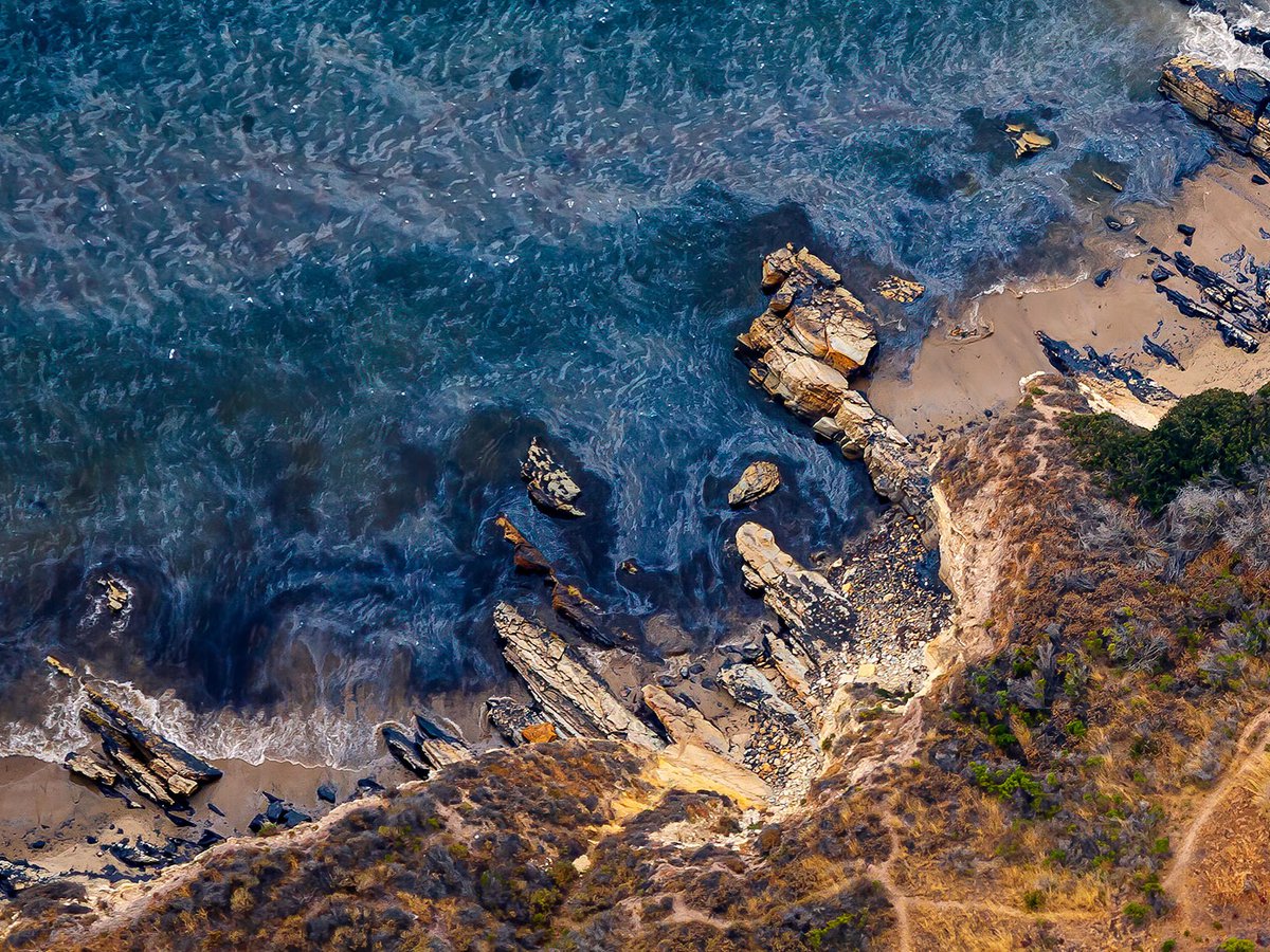 Blog image of oil washing up on shore at Refugio State Beach shortly after the Refugio oil spill occurred, near Santa Barbara, California
